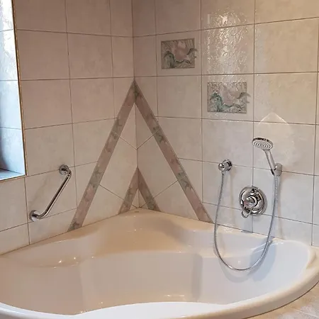 Hotel Aparthotel Hohe Bruecke 3*