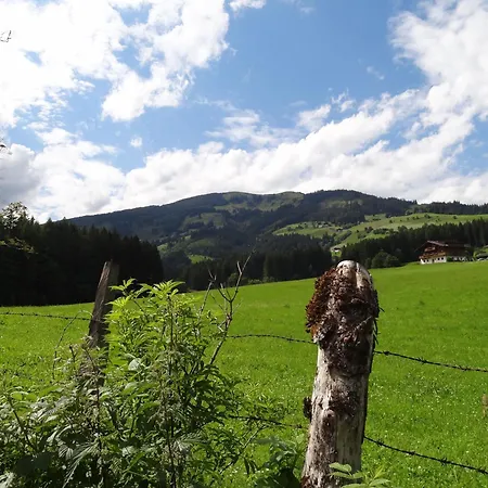 Aparthotel Hohe Bruecke 3* Миттерзилль