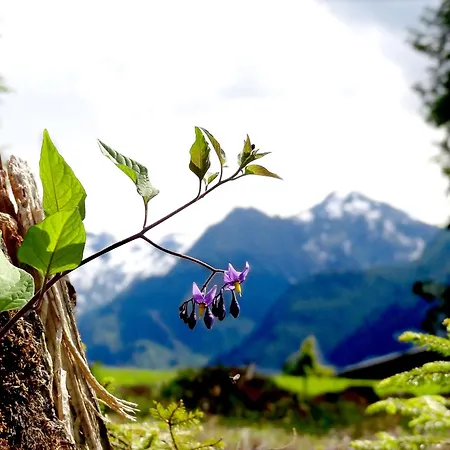 Aparthotel Hohe Bruecke 3*