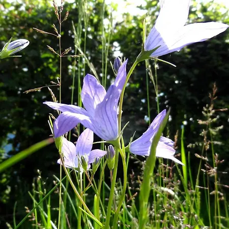 Hohe Bruecke 3* Mittersill