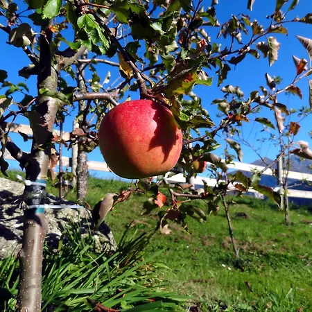 Hohe Bruecke מלון