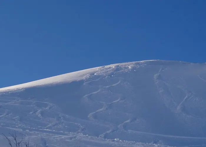 Aparthotel Hohe Bruecke