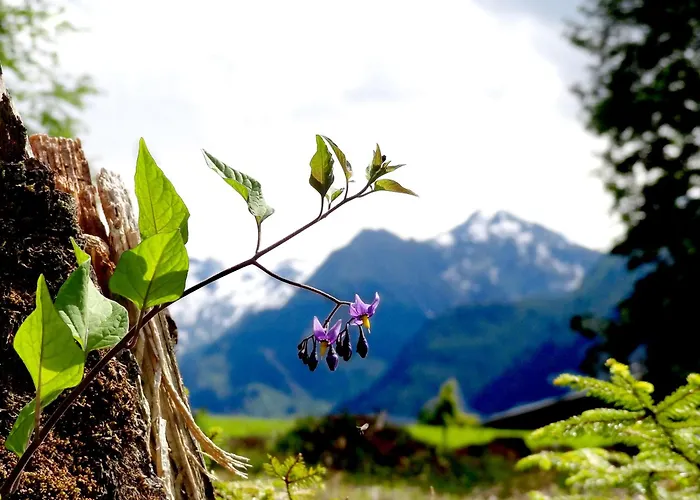 Aparthotel Hohe Bruecke 3*