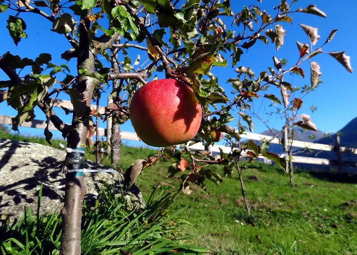 Aparthotel Hohe Bruecke Hotel